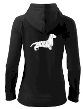 Jezevčík - Dachshund