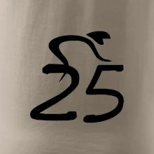 Cyklista slaví pětadvacítku (25)