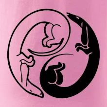 Jezevčíci - Jin jang