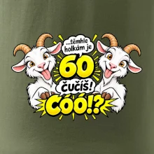 Těmhle holkám je 60, čučíš co?