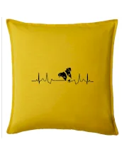 Jack Russell Terriér Ekg