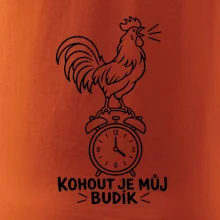 Kohout jako ranní budík