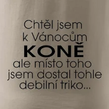 Chtěl jsem dostat k Vánocům koně