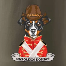 Napoleon domácí pes kříženec