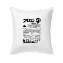 2013 v kostce