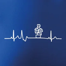 EKG Filodendron EKG Filodendron
