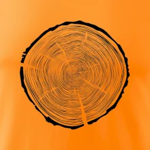 Letokruhy 95 bez věku