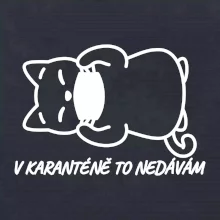 V karanténě to nedávám