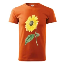 Slunečnice otočená