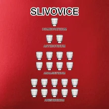 Slivovice počítání (Hana-creative) Slivovice počítání (Hana-creative)