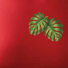 Monstera listy na prsu