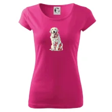 Zlatý retriever vintage