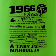 1966 v kostce