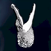 Krokodýl kreslený (Pecka design)