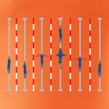 Plavecký bazén žralok