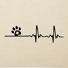 Veterinář EKG