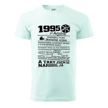1995 v kostce