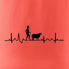 Ekg pastevec ovcí