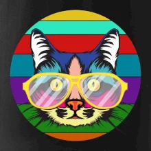 Kočka při barevném západu