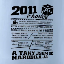 2011 v kostce