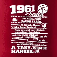 1961 v kostce