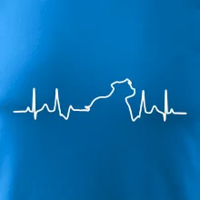 Stafordšírsky bulteriér EKG