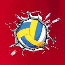 Volejbal míč v triku