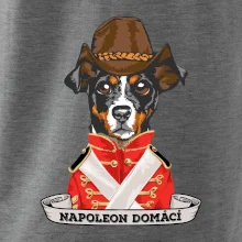 Napoleon domácí pes kříženec