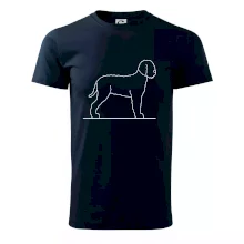 Lagotto romagnolo stojící Lagotto romagnolo stojící