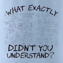 What exactly didnt you understand - physics What exactly didnt you understand - physics