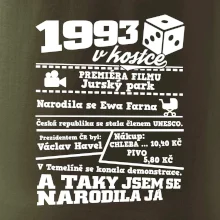 1993 v kostce