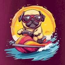 Mops na vodním skútru