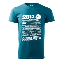 2013 v kostce