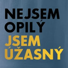 Nejsem opilý jsem úžasný
