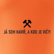 JÁ SEM HAVIŘ, A KDO JE VIĆ?!﻿