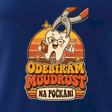 Odebírám moudrost na počkání