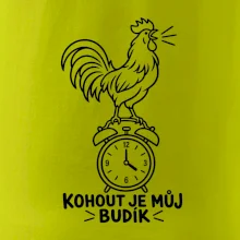 Kohout jako ranní budík