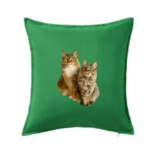 Kočky vectorizované  (Moňas)