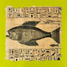 Egyptské hieroglyfy ryba Egyptské hieroglyfy ryba