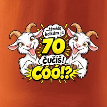 Těmhle holkám je 70, čučíš co?