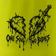 One soul two bodies