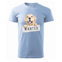 Zlatý retriever - štěně wanted