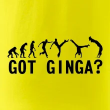 Capoeira - Got Ginga