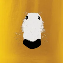 Barzoj čumák (Moňas)