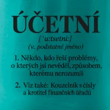 Účetní definice s humorem