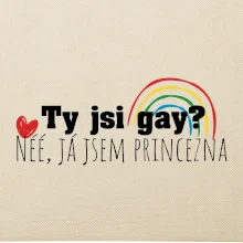 Gay princezna Gay princezna