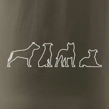 Americký stafordširský teriér v různých pozicích