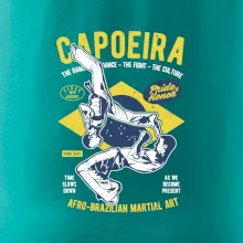 Capoeira  Afro-brazil art