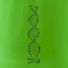 Cyklistovo DNA