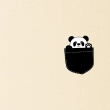 Panda v kapse